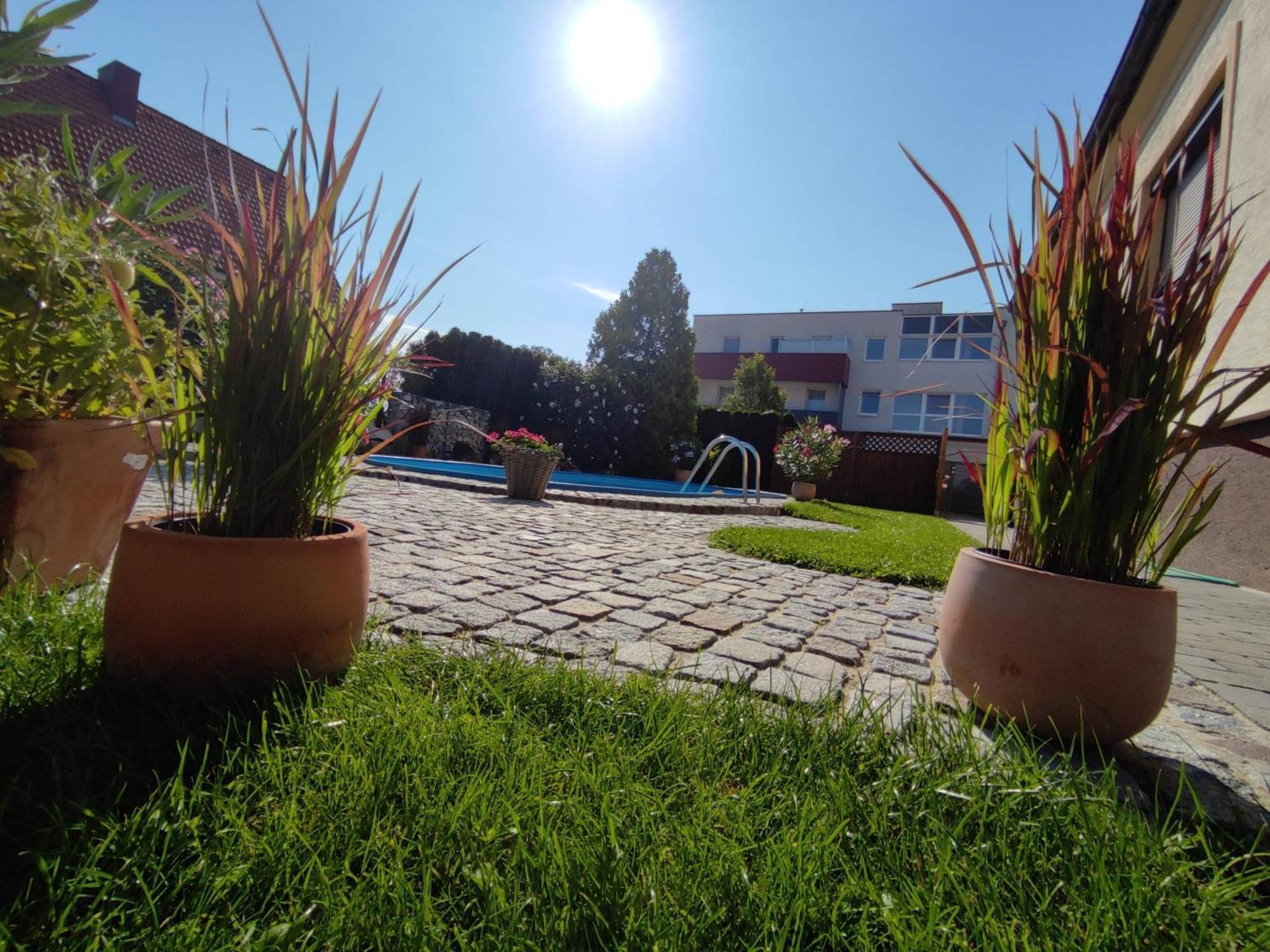 Appartement Ferienhaus Sonnenhain Sollenau Esterno foto