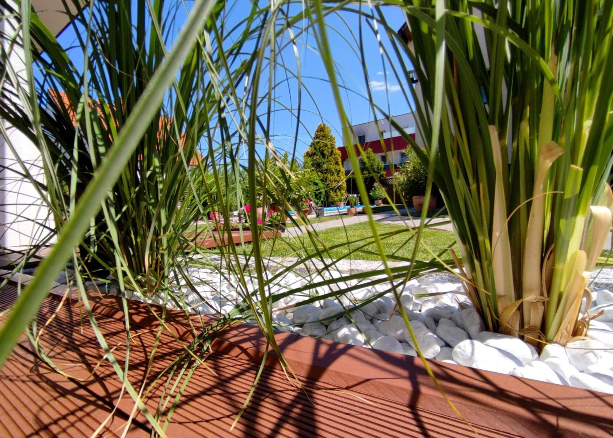 Appartement Ferienhaus Sonnenhain Sollenau Esterno foto