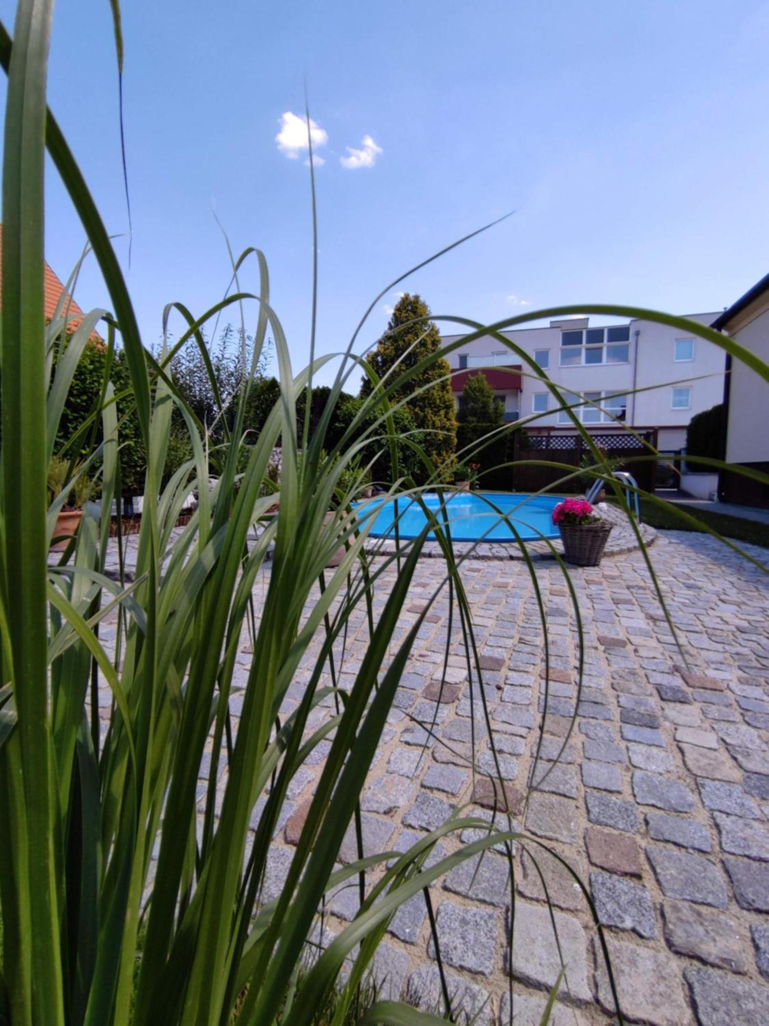 Appartement Ferienhaus Sonnenhain Sollenau Esterno foto