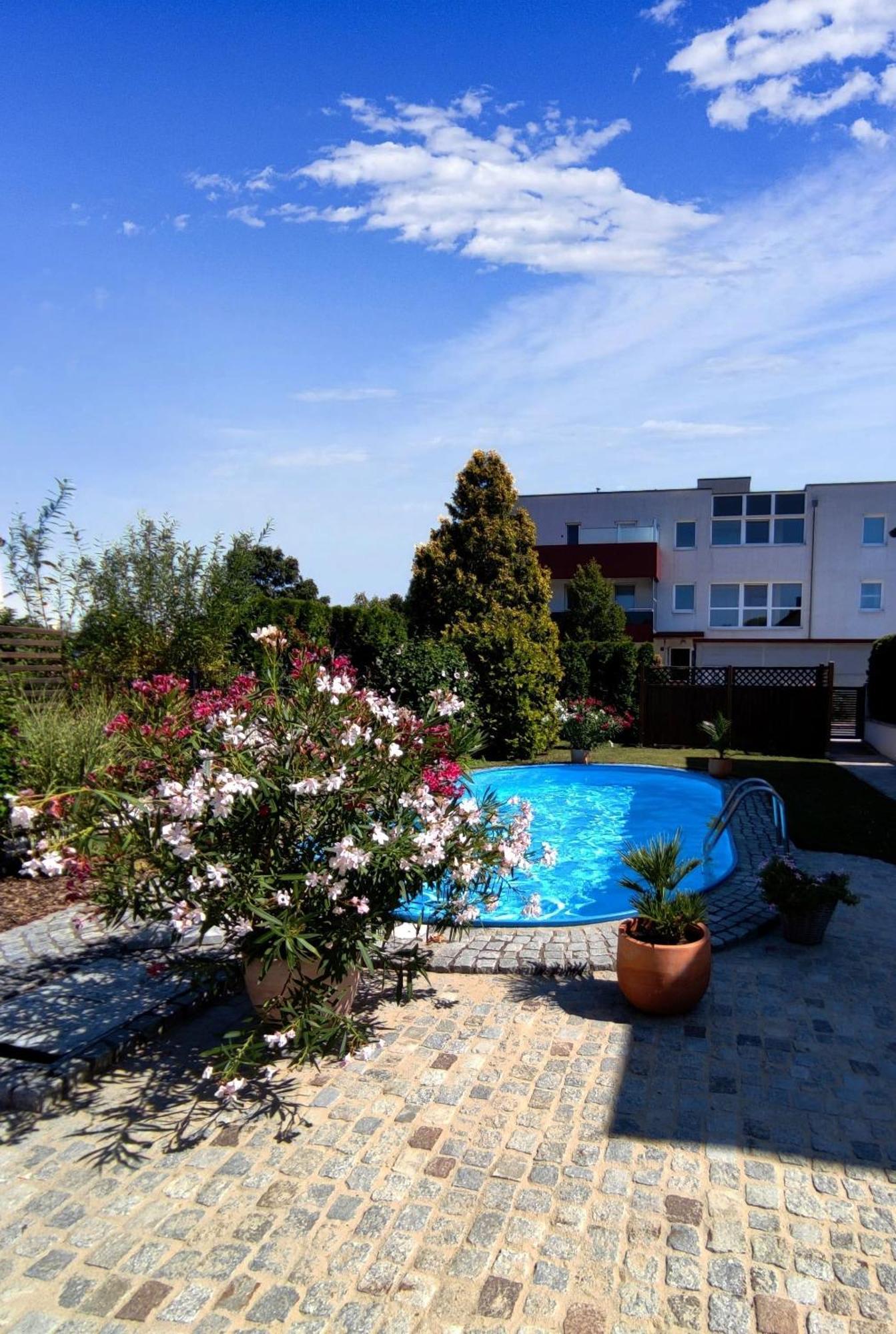 Appartement Ferienhaus Sonnenhain Sollenau Esterno foto